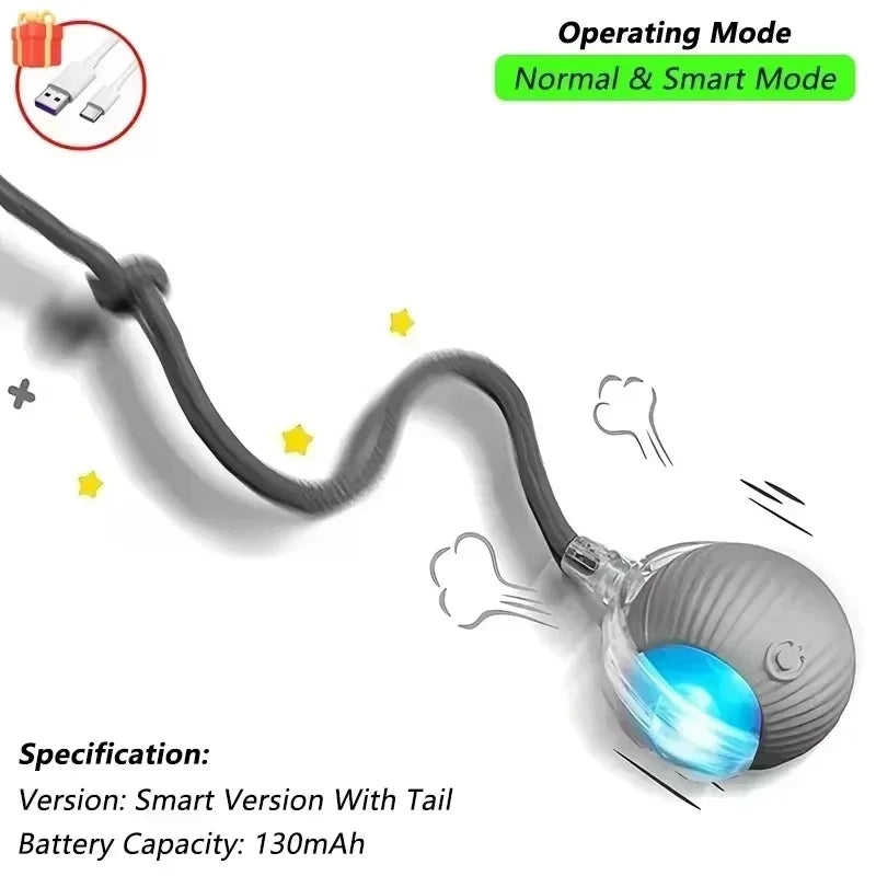 Interactive Cat Ball Toy