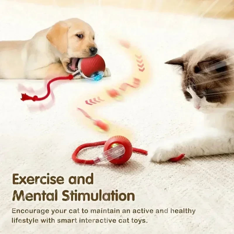 Interactive Cat Ball Toy