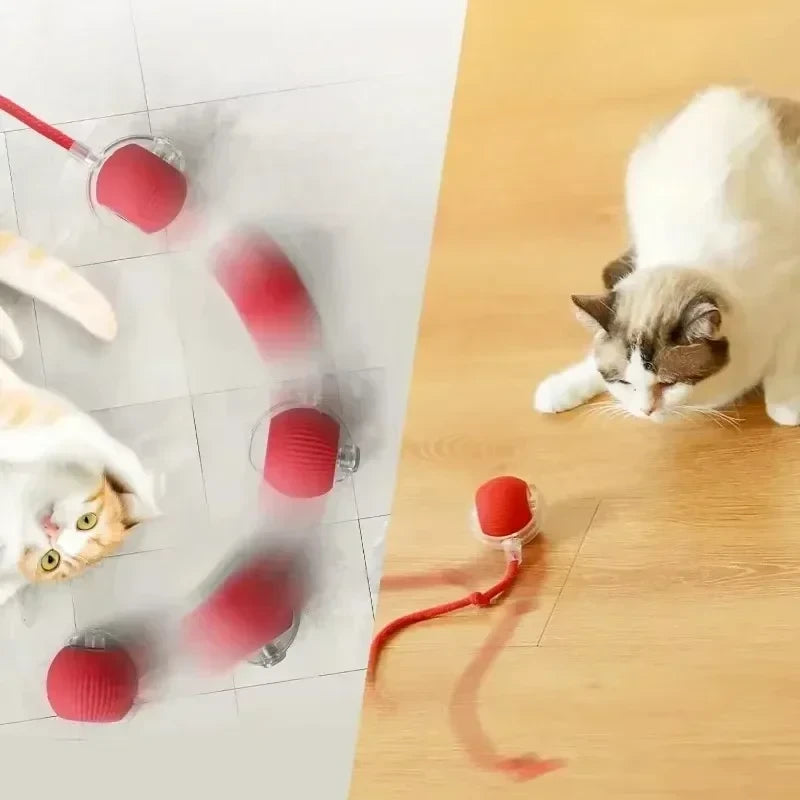 Interactive Cat Ball Toy