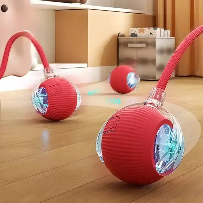 Interactive Cat Ball Toy